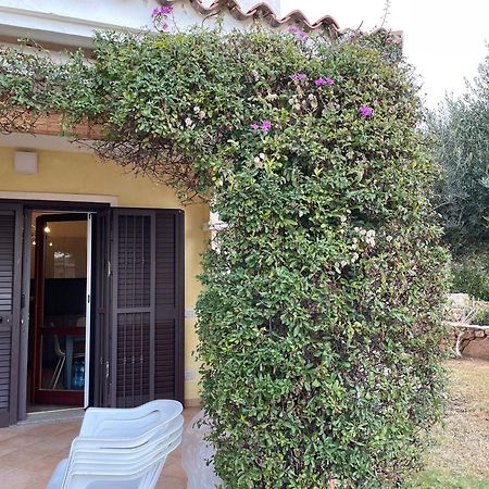 Tavolara Paradise Home Porto San Paolo  Bagian luar foto