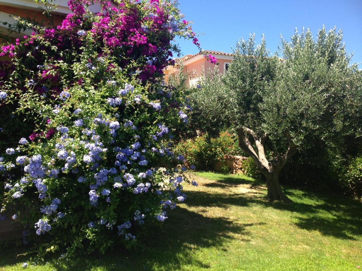 Tavolara Paradise Home Porto San Paolo  Bagian luar foto