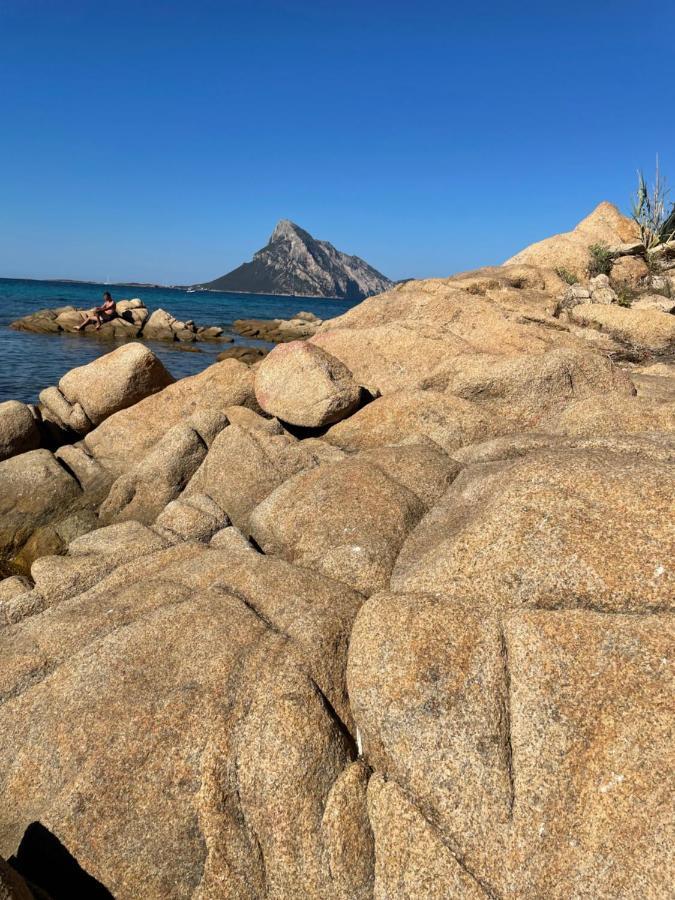 Tavolara Paradise Home Porto San Paolo  Bagian luar foto