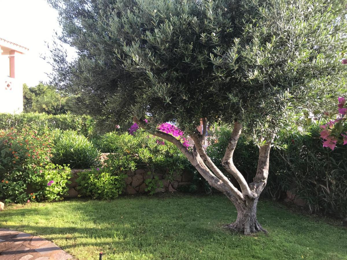 Tavolara Paradise Home Porto San Paolo  Bagian luar foto